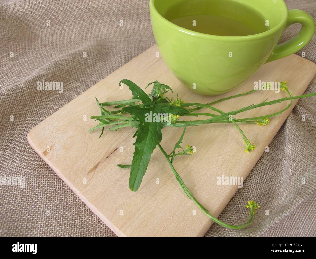 A cup of tea with hedge mustard Stock Photo