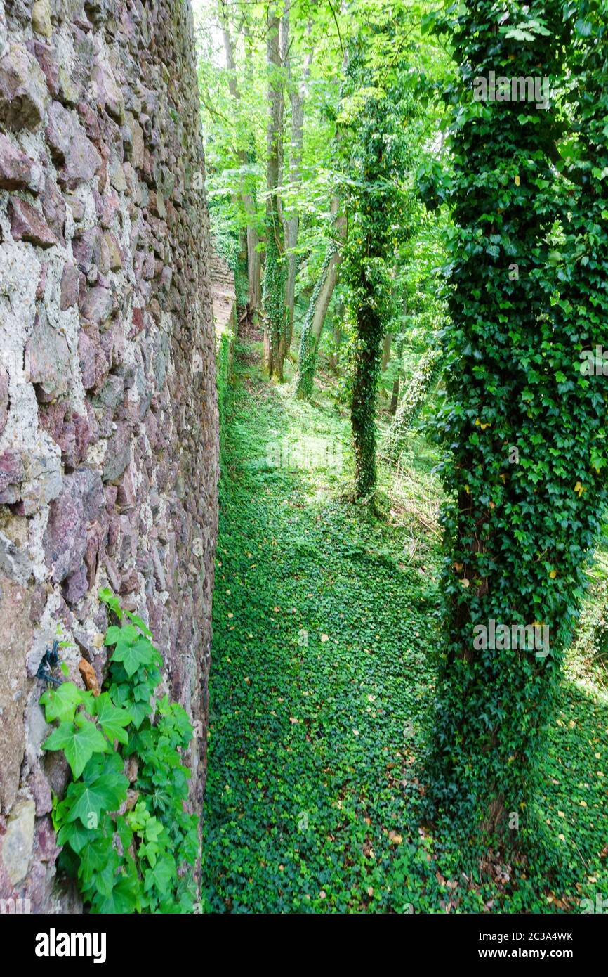 Donaustauf in lower Bavaria Stock Photo