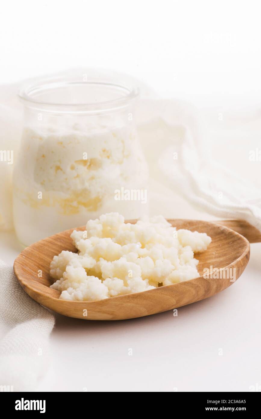 Milk kefir grains in spoon. Yeast bacterial fermentation starter Stock