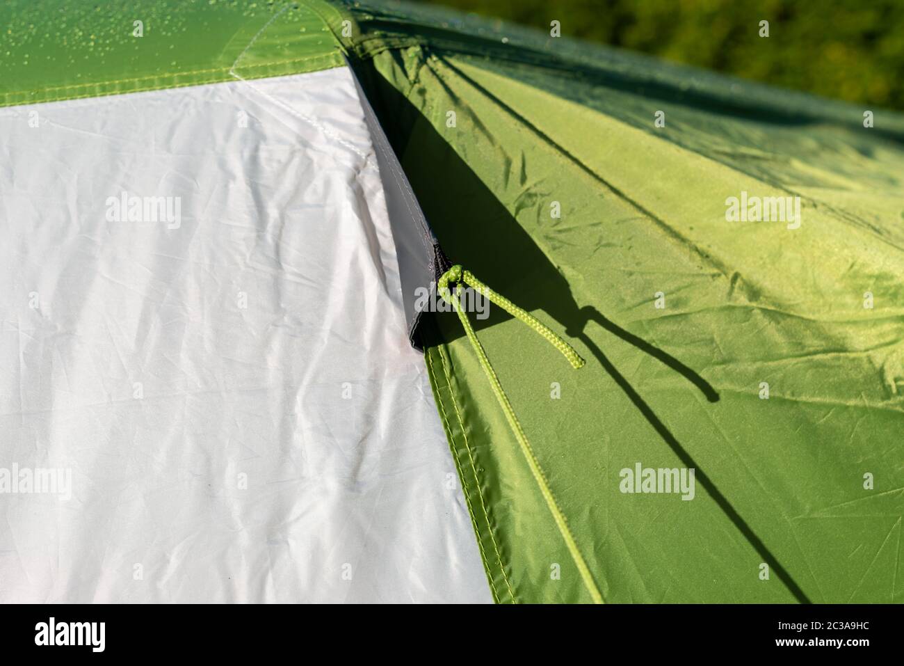 Camping. A guy rope on a tent Stock Photo Alamy