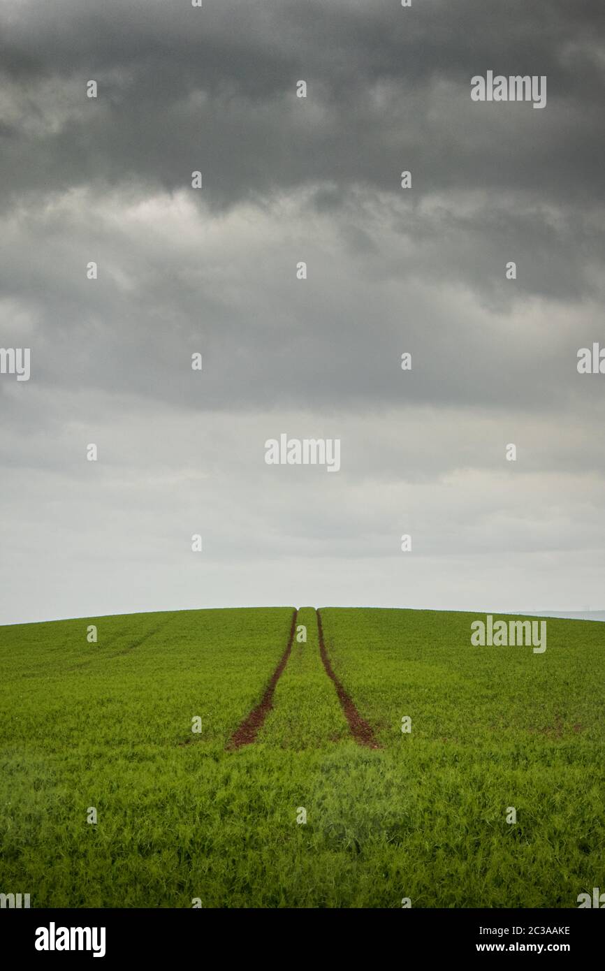 Single path of muddy tyre tracks through a lush, green field continuing over the hill beyond the horizon with dramatic, grey, storm clouds closing in Stock Photo