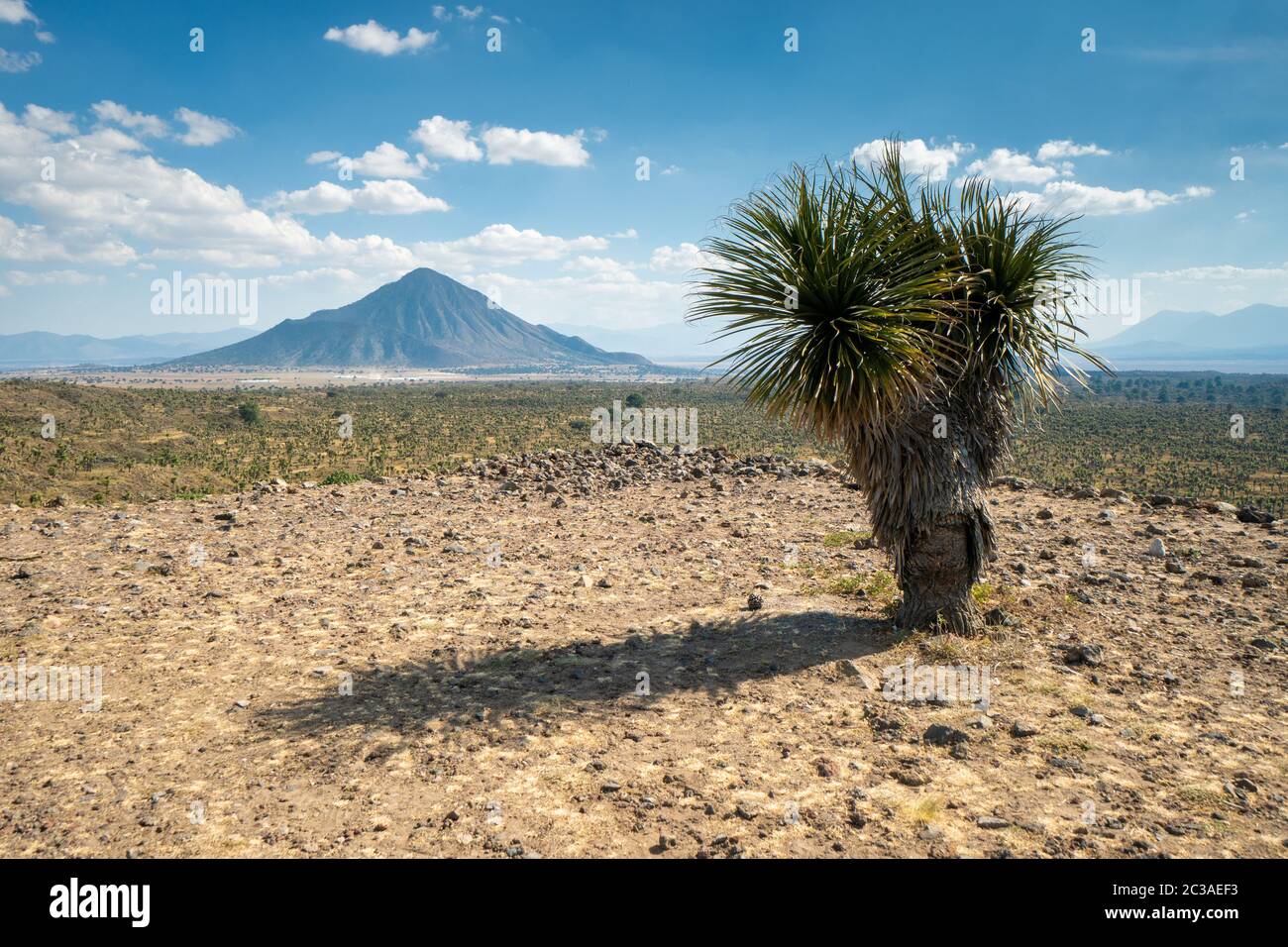 Maya scene hi-res stock photography and images - Page 25 - Alamy