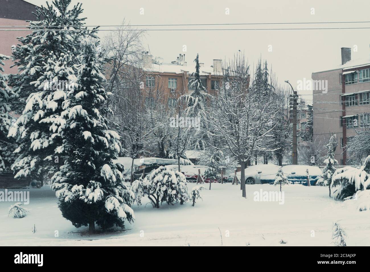 Snow-covered trees, garden and cars. View from the window. Stock Photo