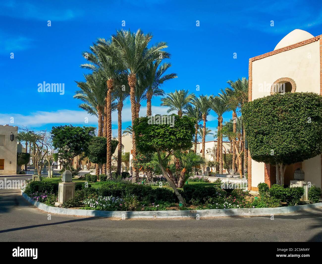 street in a city without people with palm trees and a green lawn in