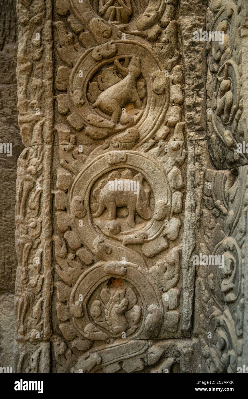 Carving at Ta Prohm Temple Siem Reap Cambodia Stock Photo