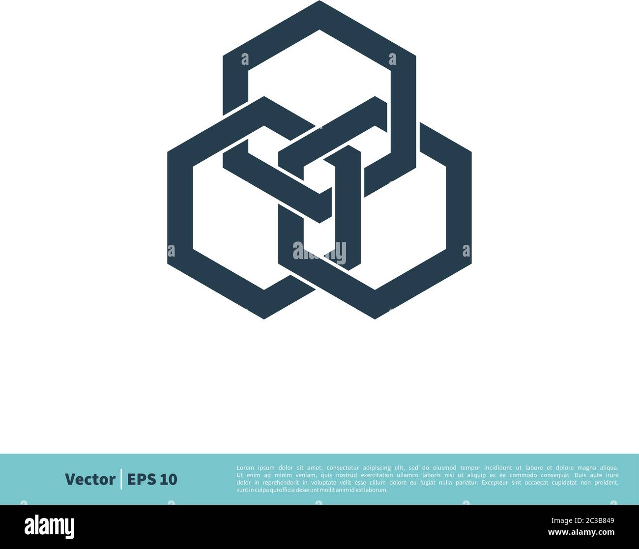Connection Hexagonal Shape Icon Vector Logo Template Illustration Design. Vector EPS 10. Stock Vector