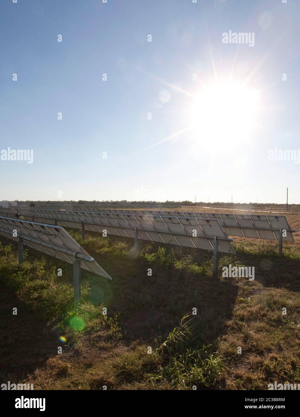 Manor Texas USA, 2012: Webberville Solar Farm, the largest active solar project of any public power utility in the country. It has over 127,000 modules and can generate more than 61 million kWh of electricity,  Texas - 2012. ©MKC / Daemmrich Photos Stock Photo