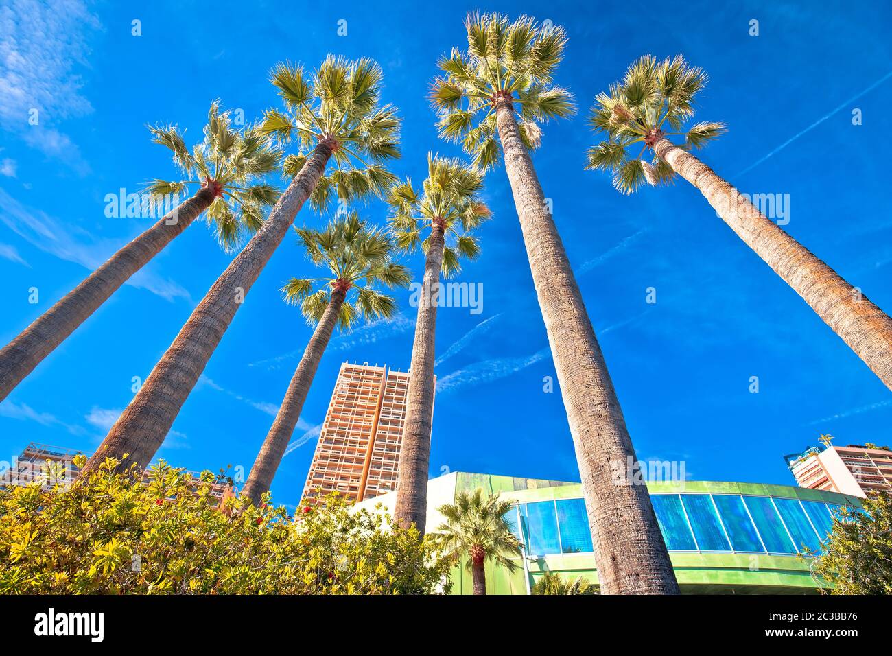 Palm waterfront of Monte Carlo view Stock Photo