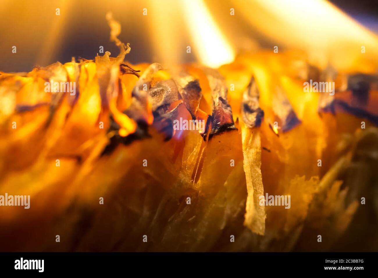 Bonfire ignition burning. Material for igniting coal Stock Photo Alamy