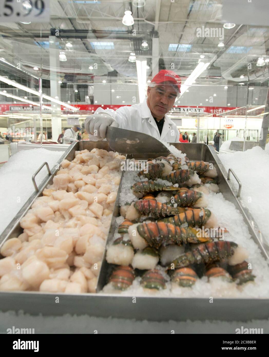 Cedar Park Texas USA, November 22 2013: Employee pours crushed ice over lobster tails in fresh seafood department of newly opened Costco warehouse club in a fast-growing Austin suburb.   ©Marjorie Kamys Cotera/Daemmrich Photography Stock Photo