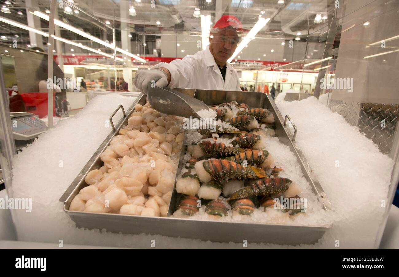 Cedar Park Texas USA, November 22 2013: Employee pours crushed ice over lobster tails in fresh seafood department of newly opened Costco warehouse club in a fast-growing Austin suburb.   ©Marjorie Kamys Cotera/Daemmrich Photography Stock Photo