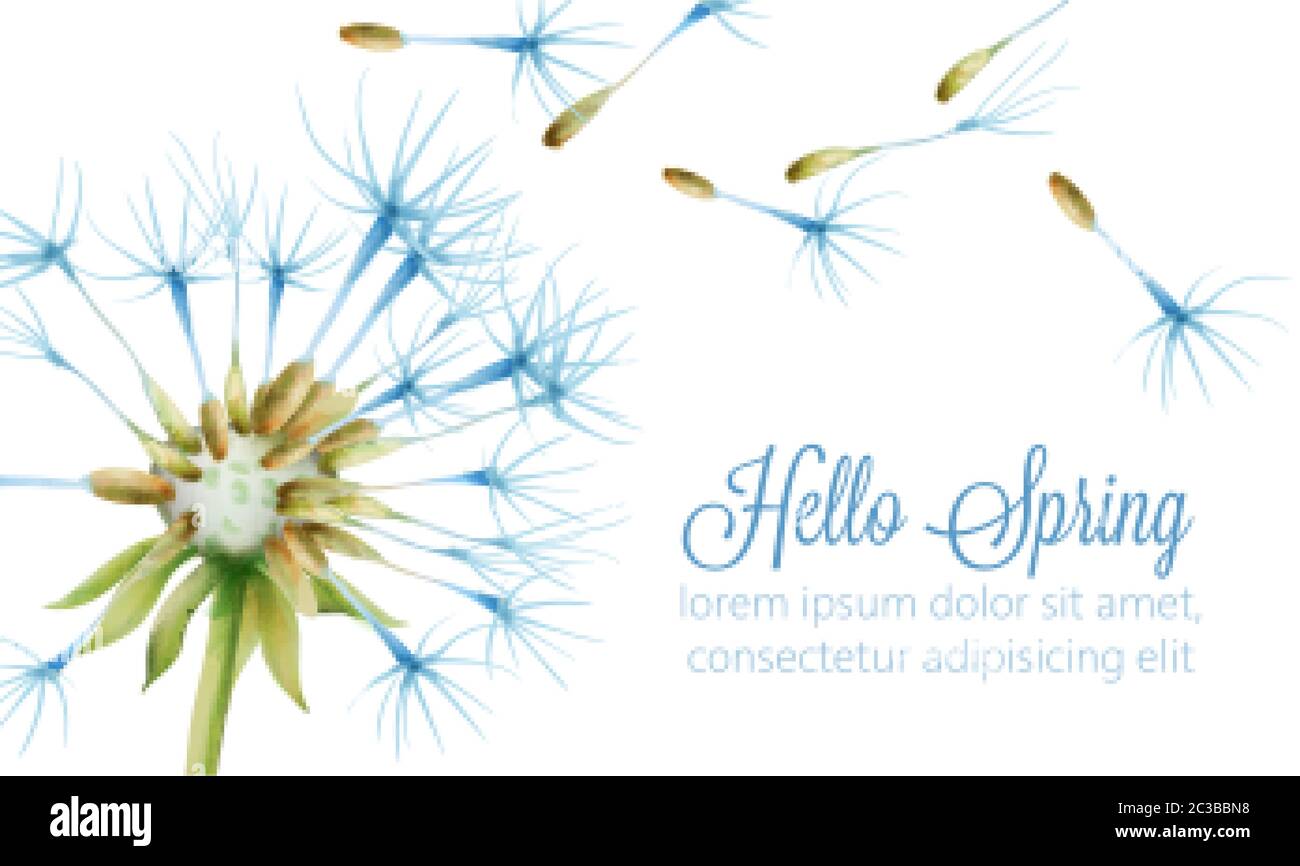 Hello spring banner with watercolor blowing dandelion flower. Place for text. Vector Stock Vector