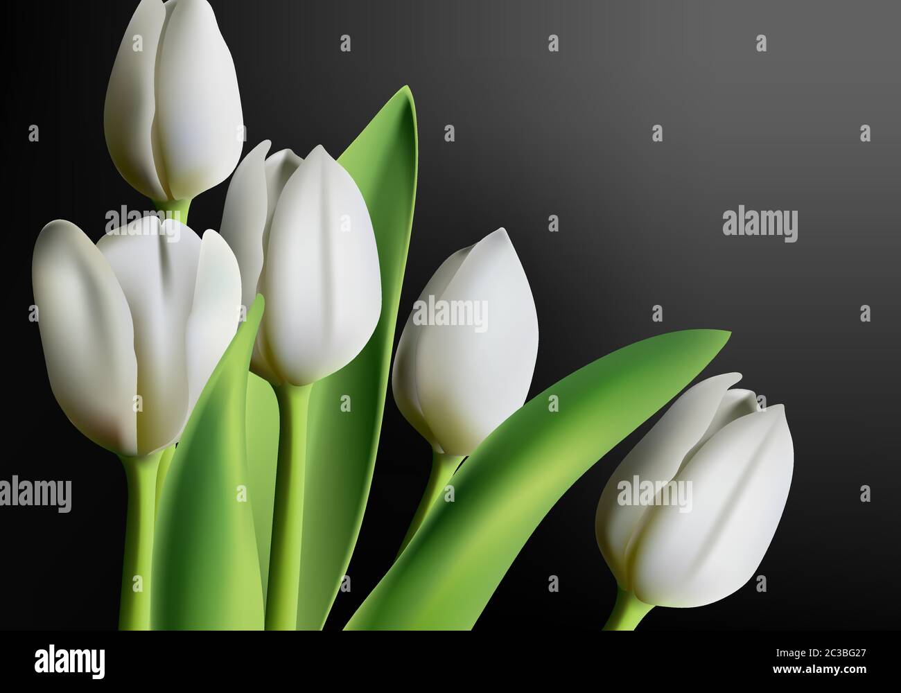 Realistic three dimensional white tulip flowers on black gradient background. Vector Stock Vector