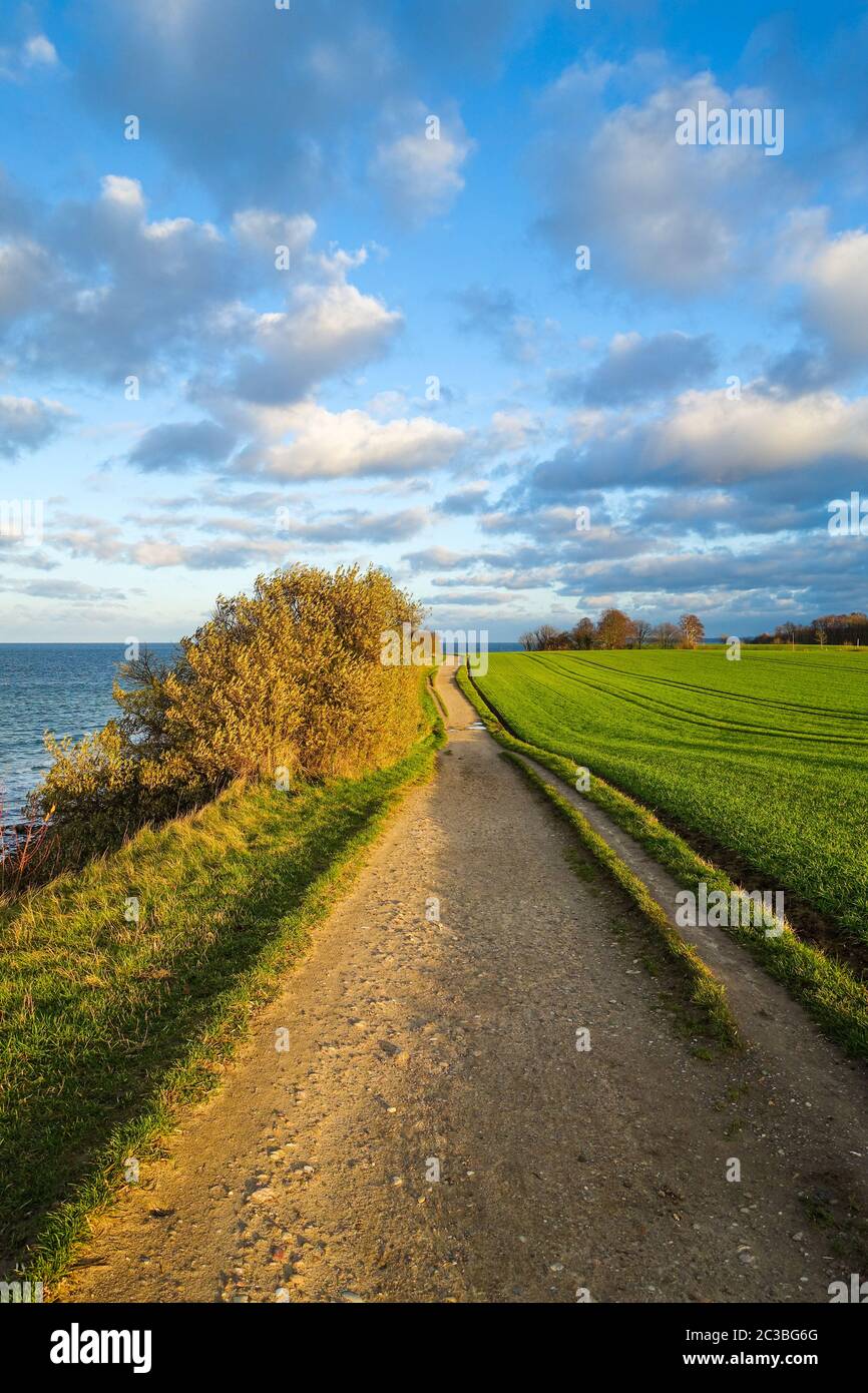 Steep coast near Niendorf, Luebeck Bay, Baltic Sea, Germany Stock Photo