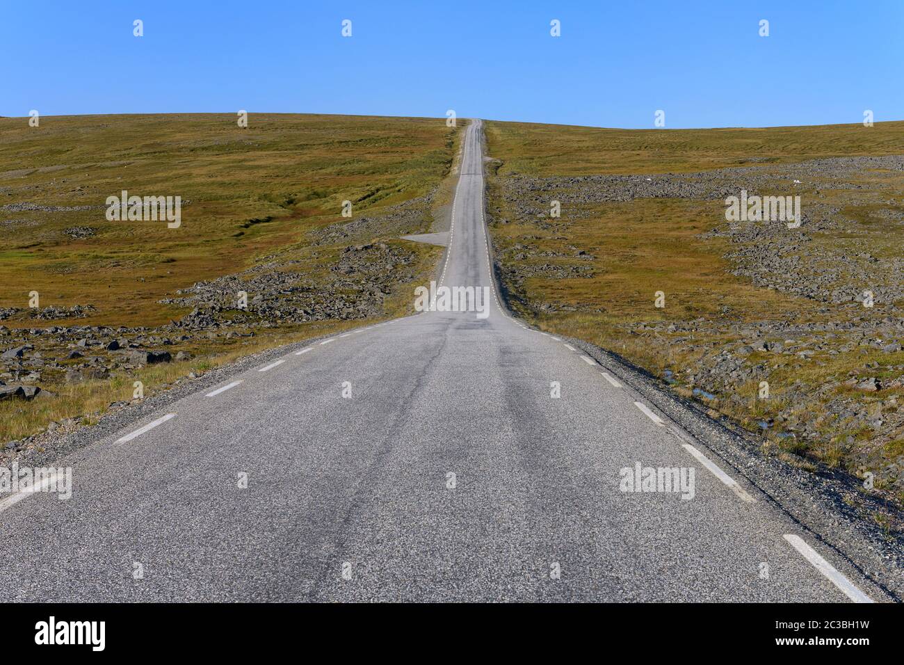 Road to Nordkapp (Norway): Empty street leading to Nordkapp / North Cape Stock Photo
