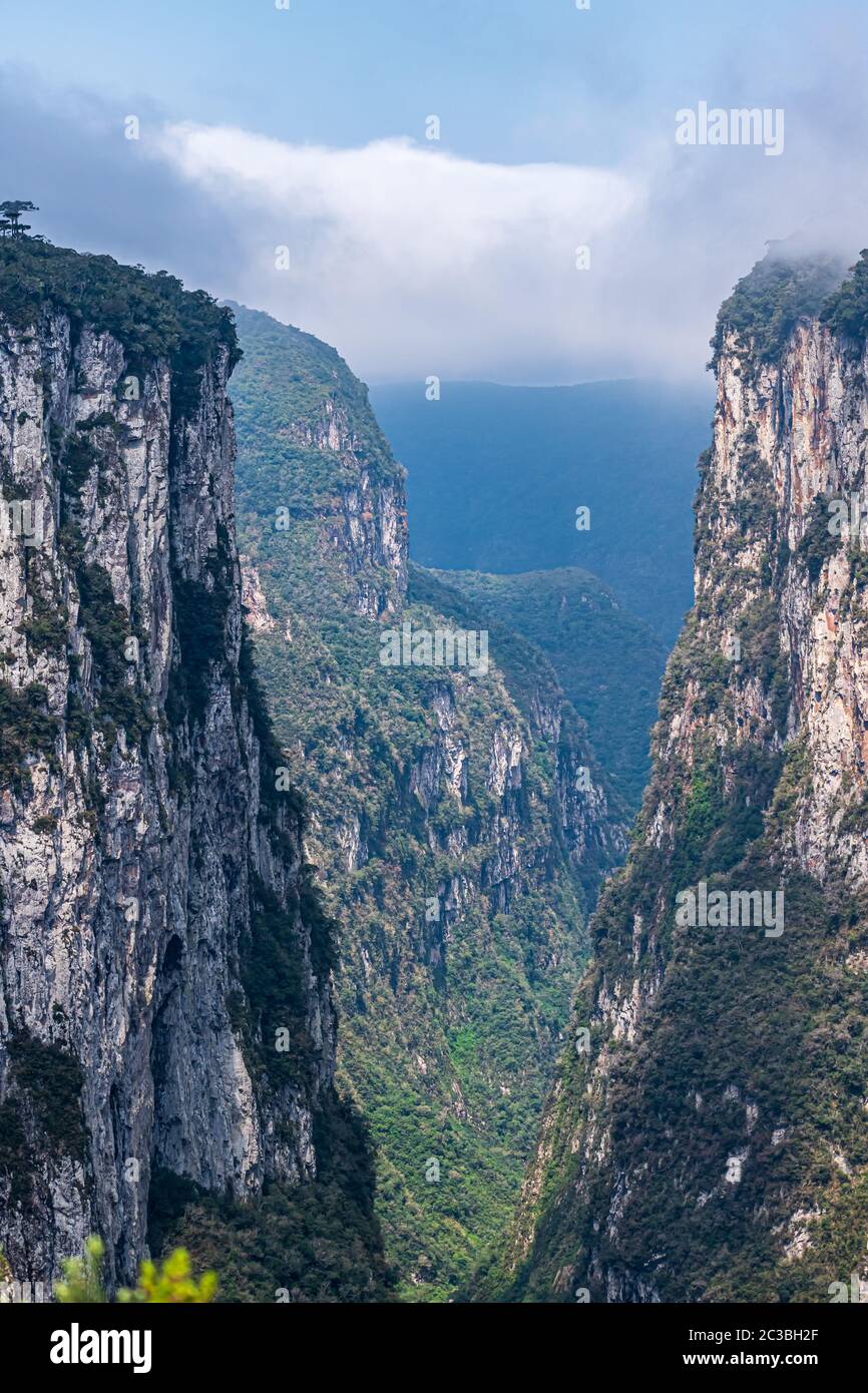 natural parks in the mountains of Brazil Stock Photo