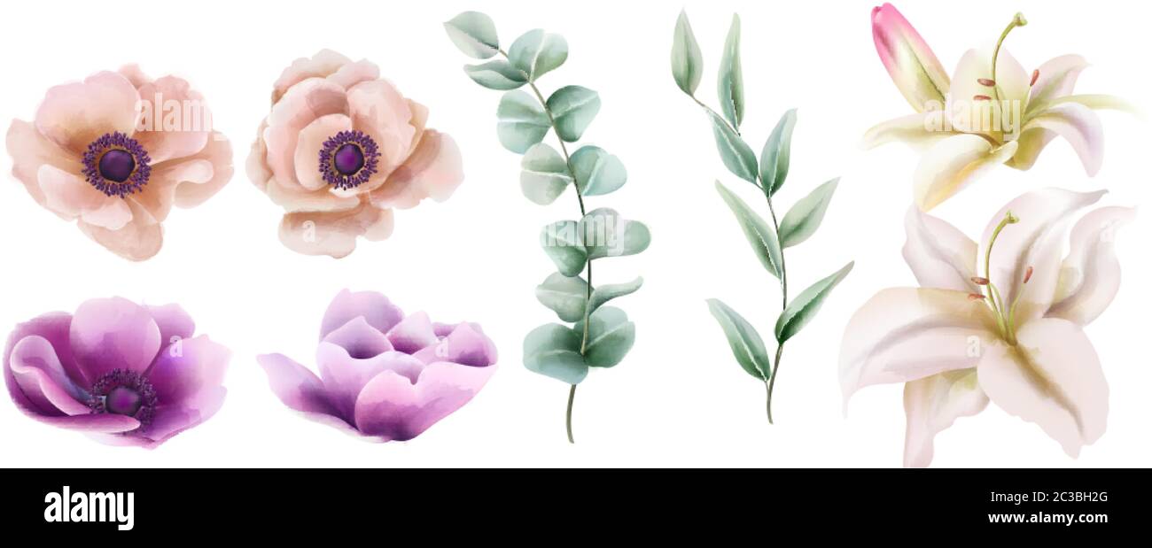 Watercolor set of lily and peony flowers with green leaves. Vector ...