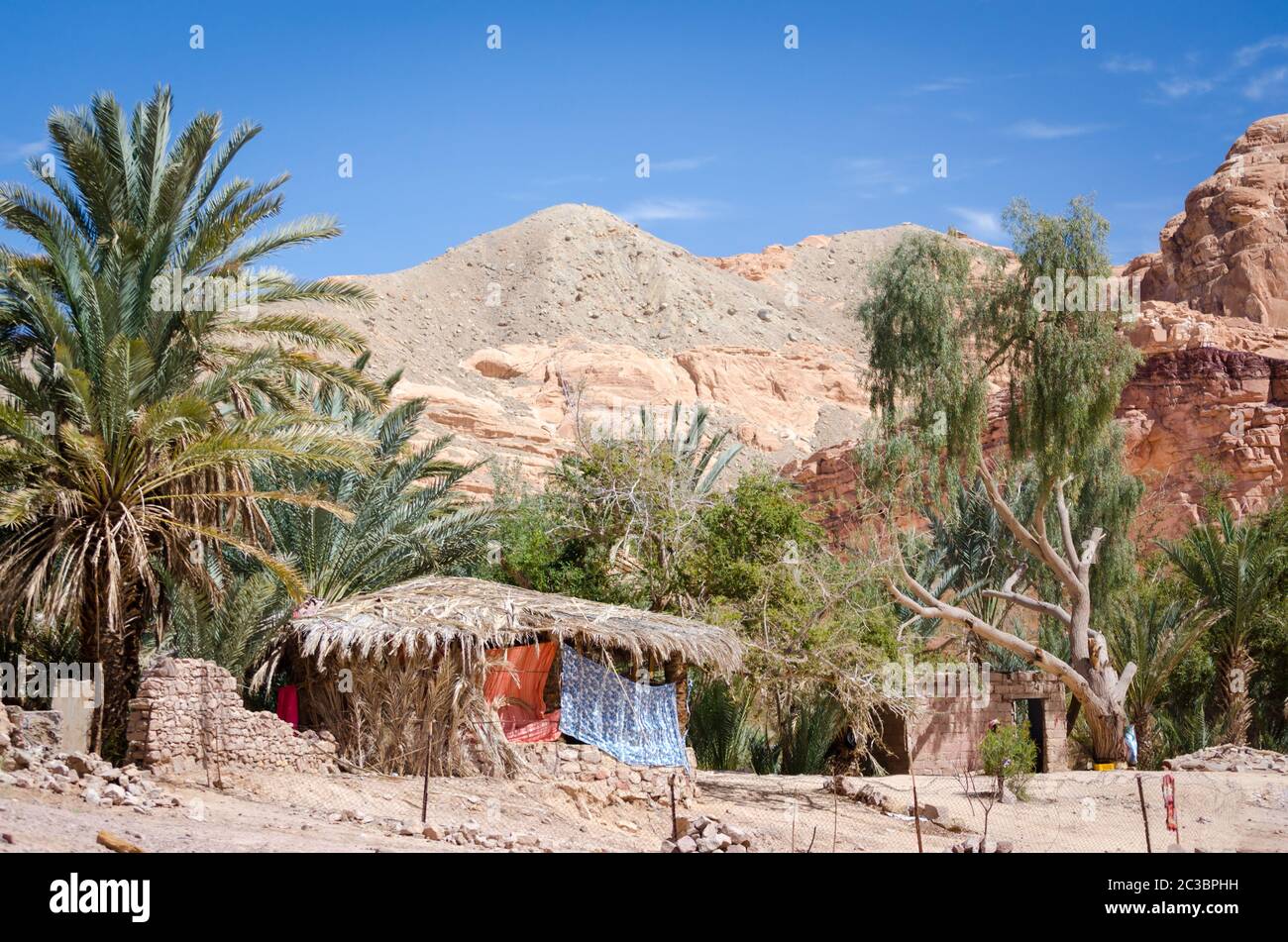 Bedouin village in an oasis in the desert among the mountains in Egypt
