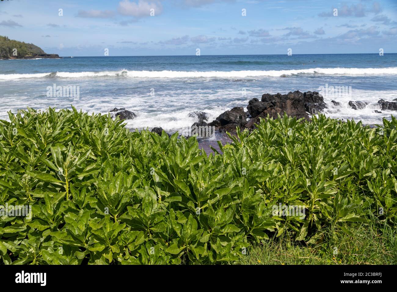 Waves crashing into a Hana Hawaii Beach Stock Photo