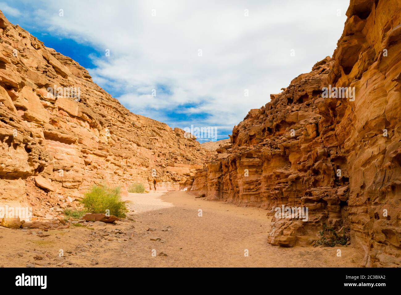 colored canyon with green plants in Egypt Dahab South Sinai Stock Photo