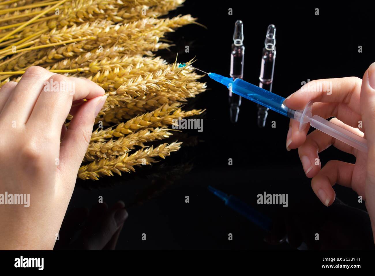 The harm of herbicides and pesticides on the human body. A syringe with a chemical substance and ampoules lie on a table with ears of wheat. Wheat and Stock Photo
