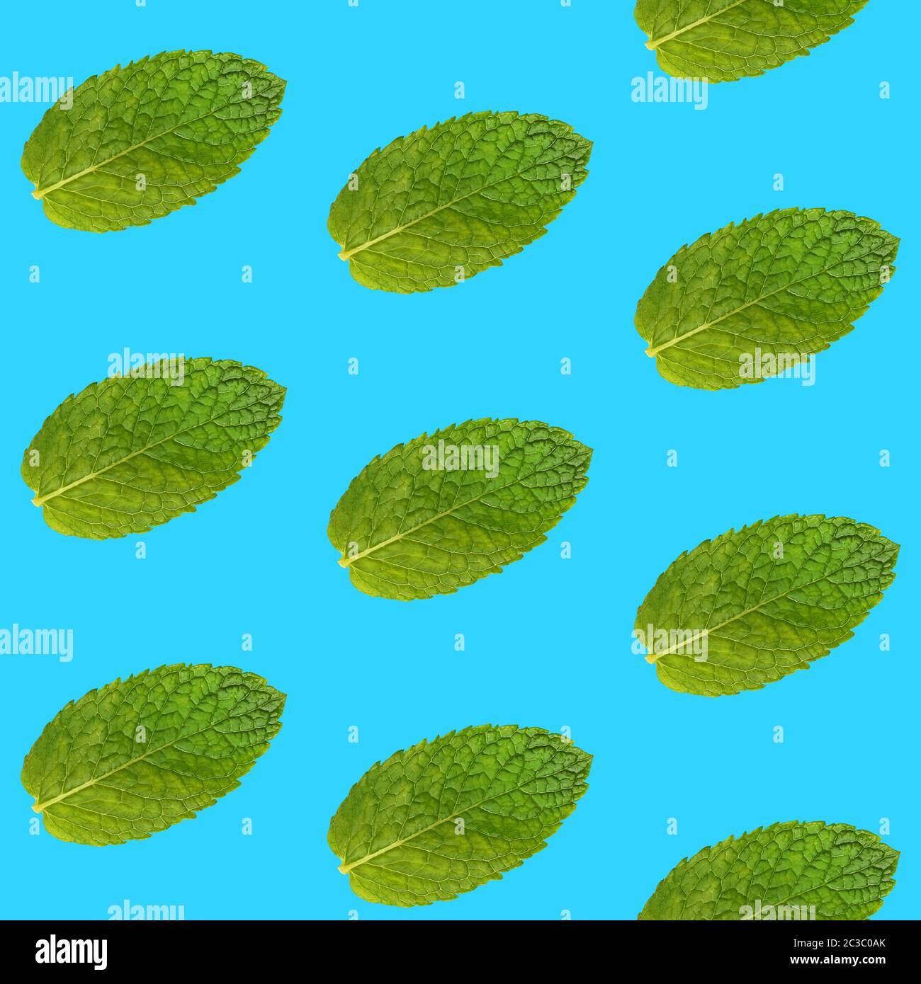 Seamless pattern of fresh green mint leaves on vivid blue background ...