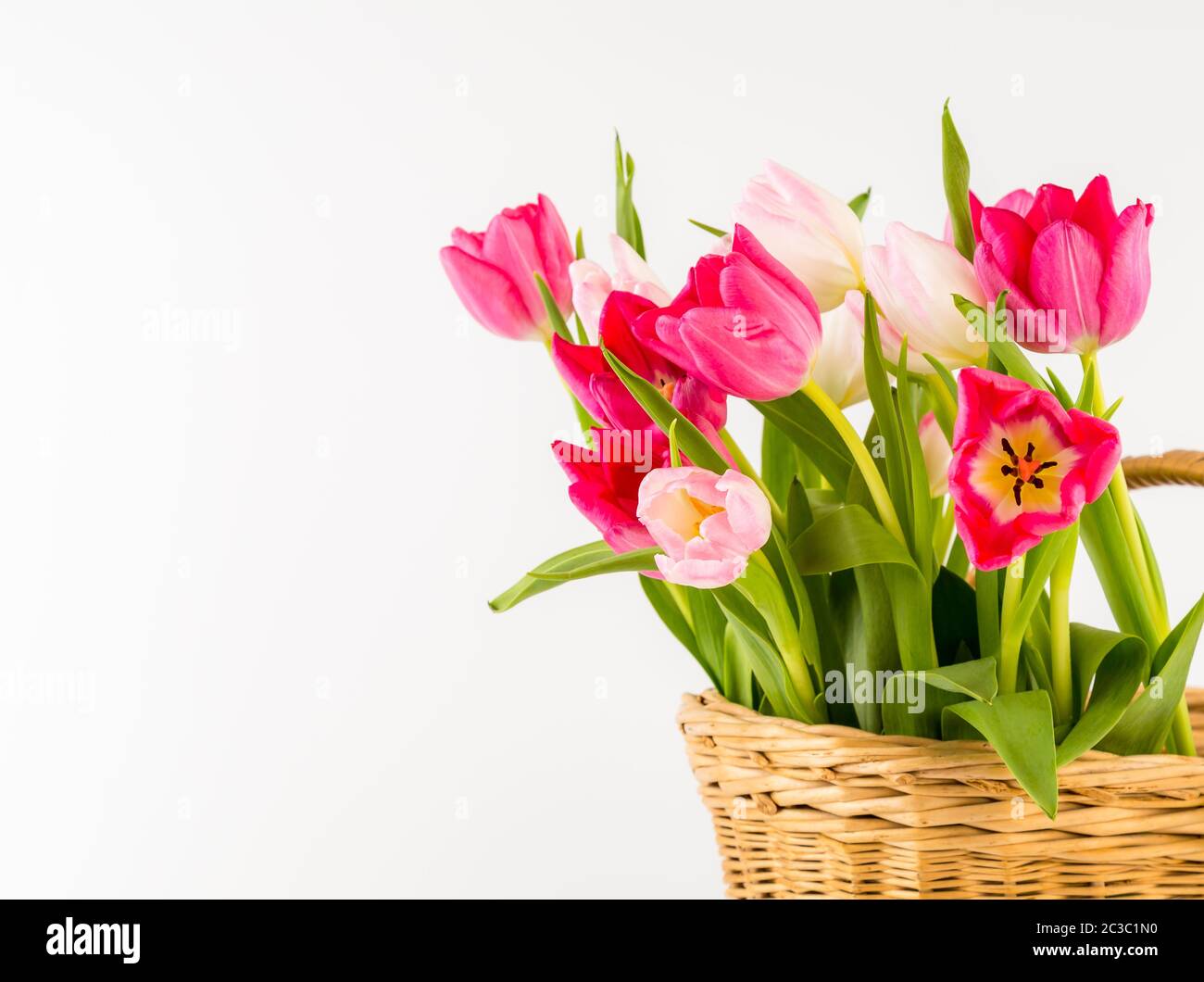Bouquet of fresh spring tulips in a wicker basket, isolated on white ...