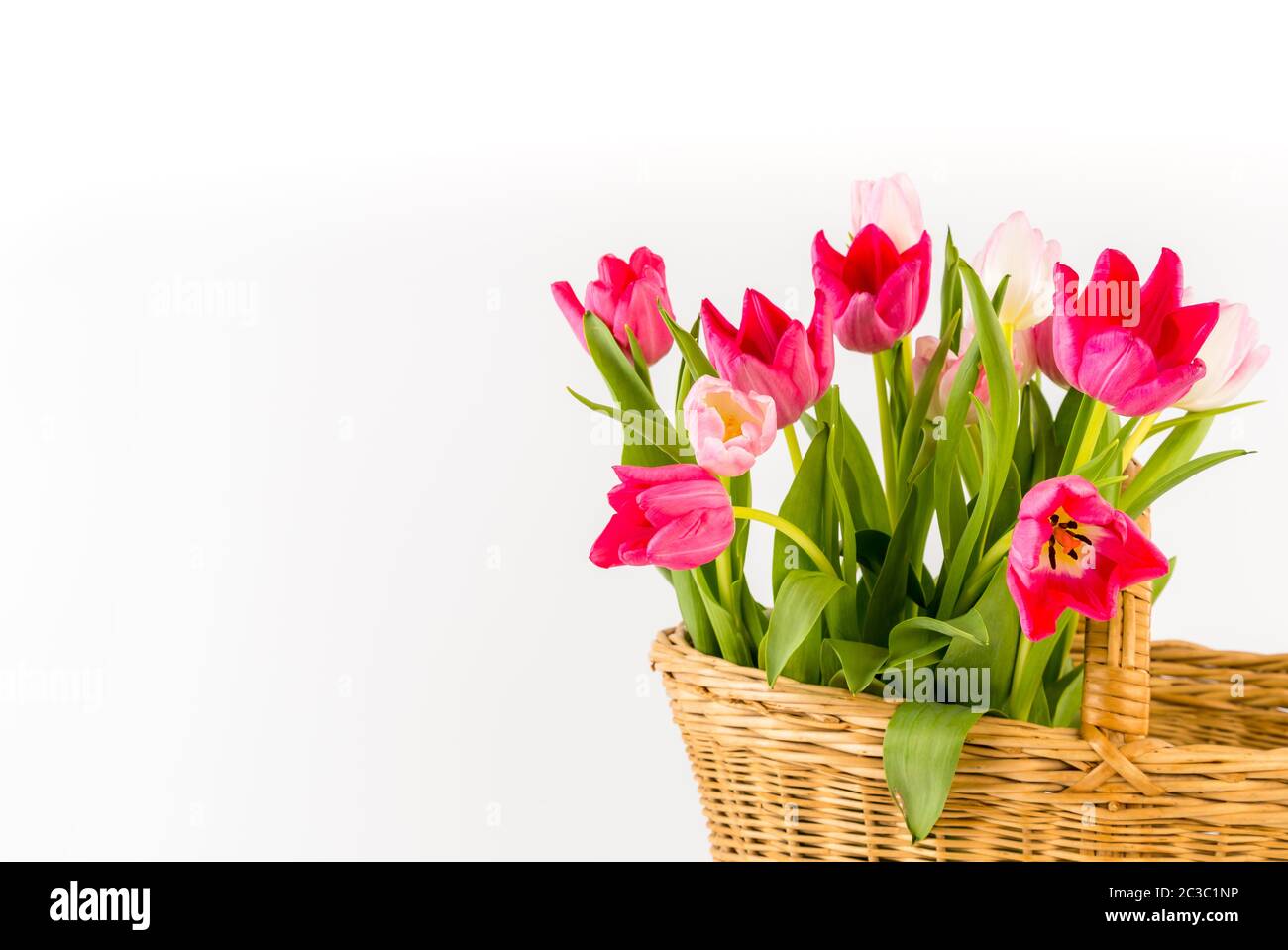 Bouquet of fresh spring tulips in a wicker basket, isolated on white ...