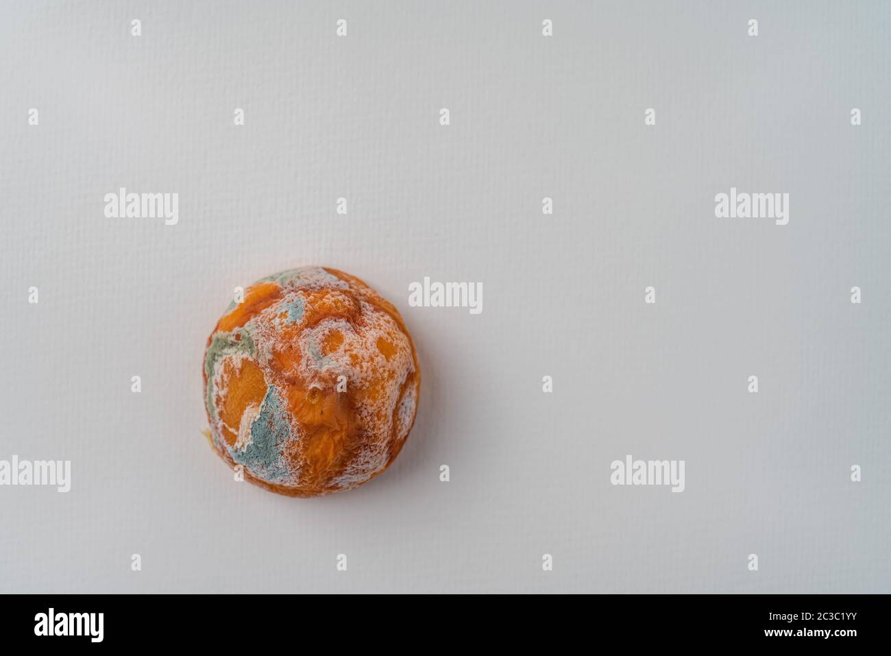 The old inedible ugly moldy lemon isolated on a white textured paper