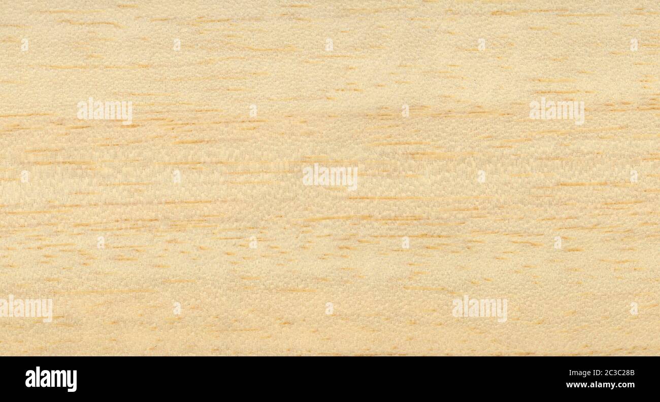 light brown ayous samba obeche african wood (scientific name Triplochiton scleroxylon) texture useful as a background Stock Photo