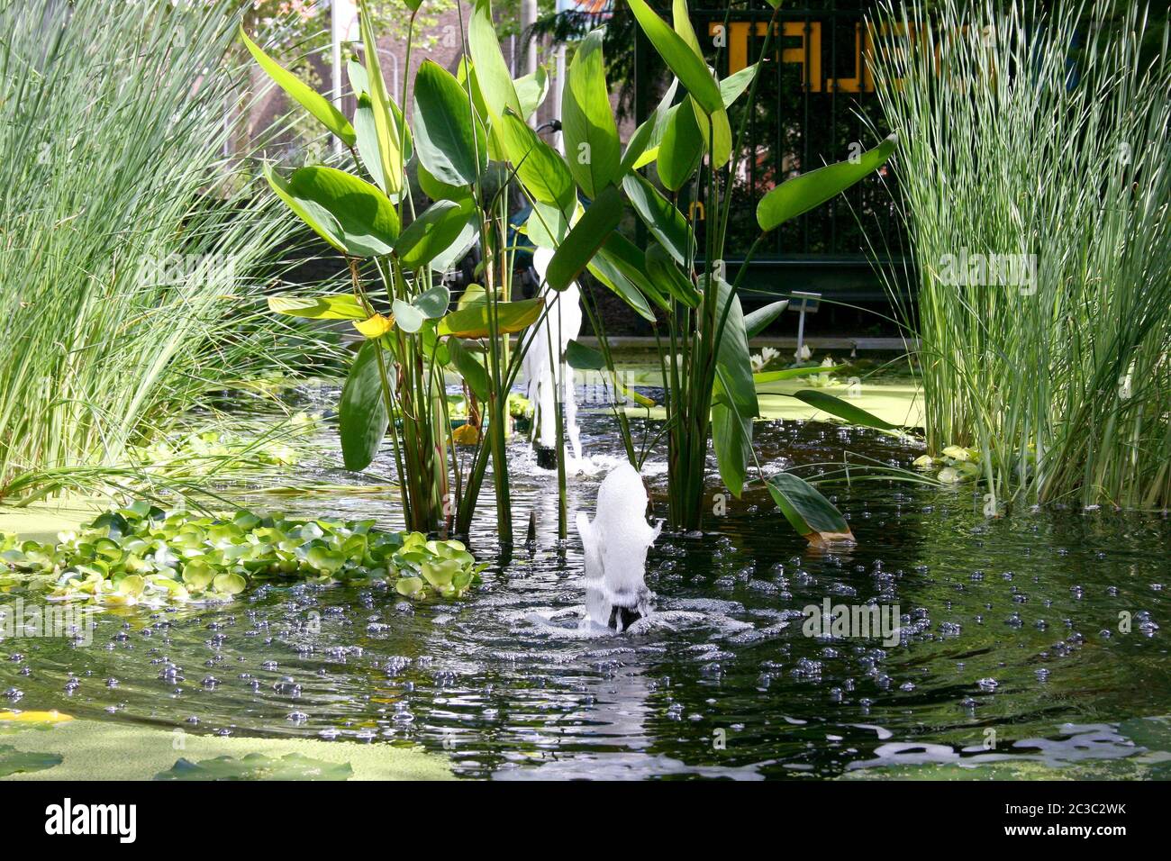 a small pond with a water feature Stock Photo