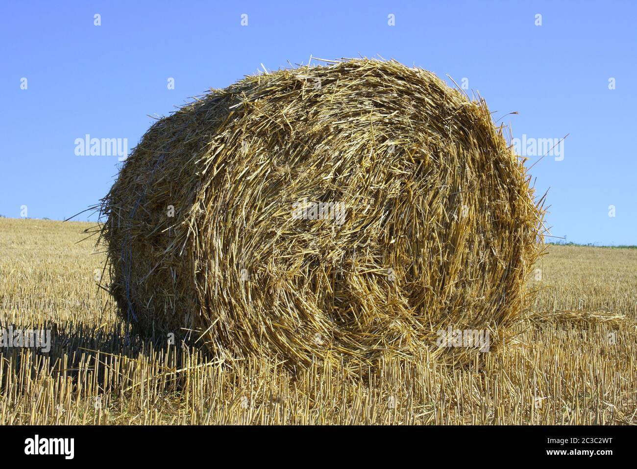 Large round straw roll with blue sky in background Stock Photo