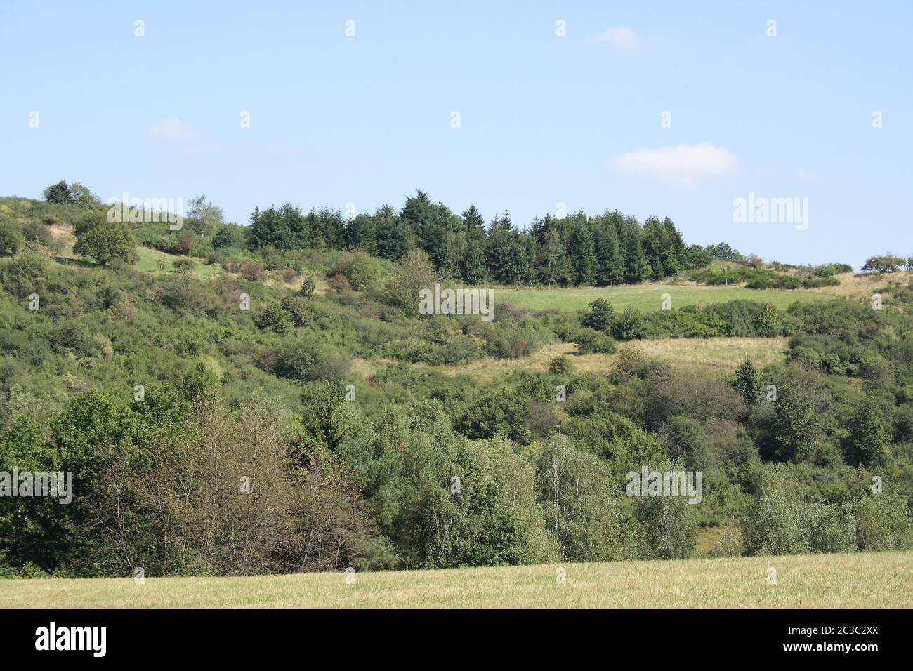 Mountain landscape with forest and meadows, blue sky in background Stock Photo