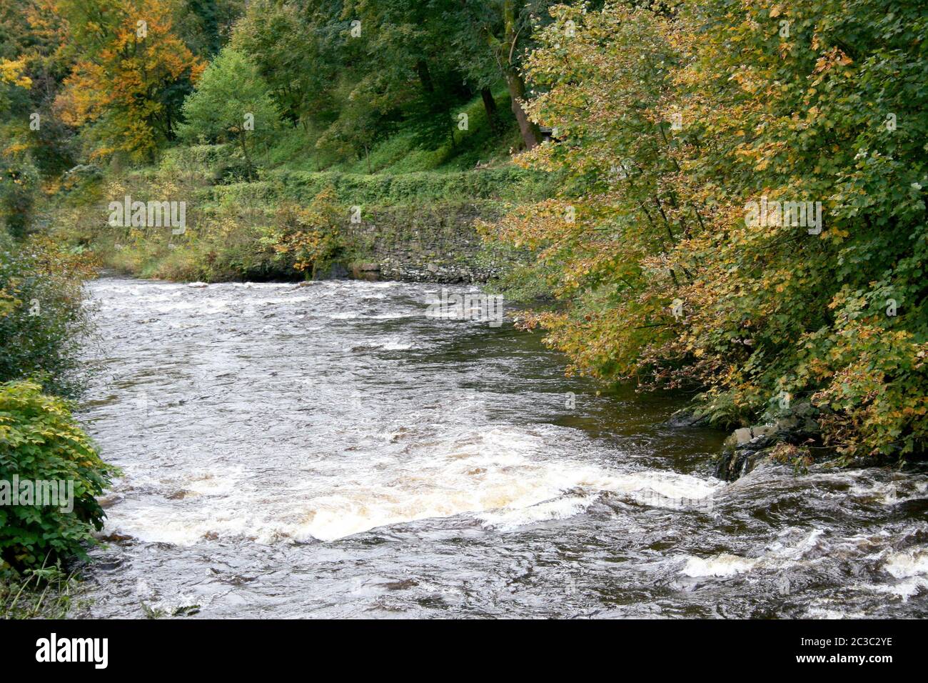 A small mountain stream with a strong current Stock Photo