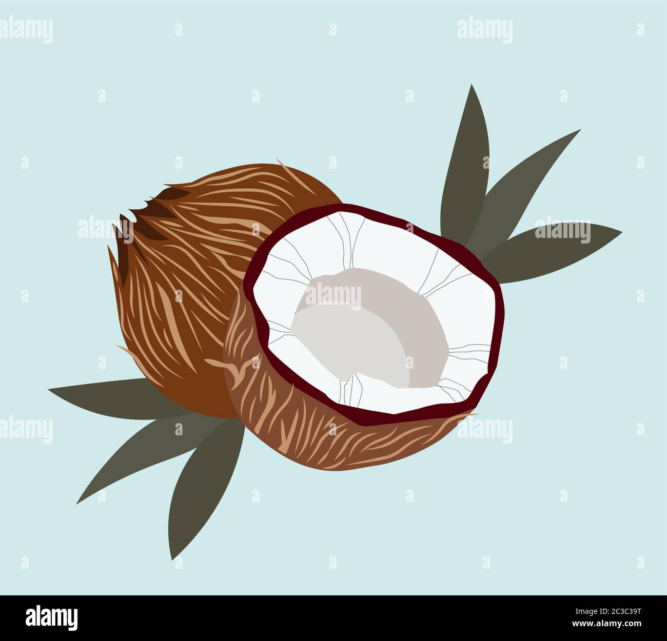 Coconut with palm leaves and blue background. Detailed close up Vector Stock Vector