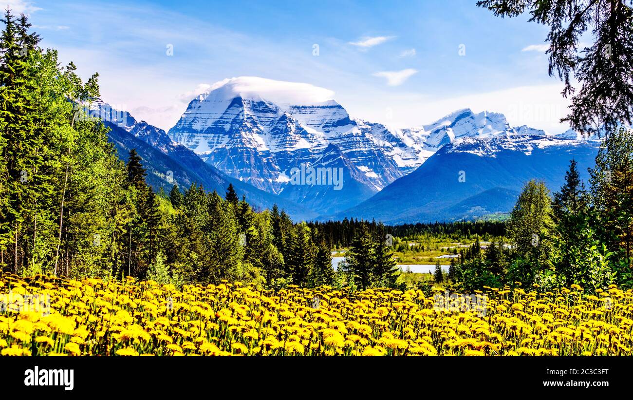 Cloud Blanket over Mount Robson, the highest mountain in the Canadian Rockies, n Mount Robson Provincial Park in British Columbia, Canada with a bed o Stock Photo