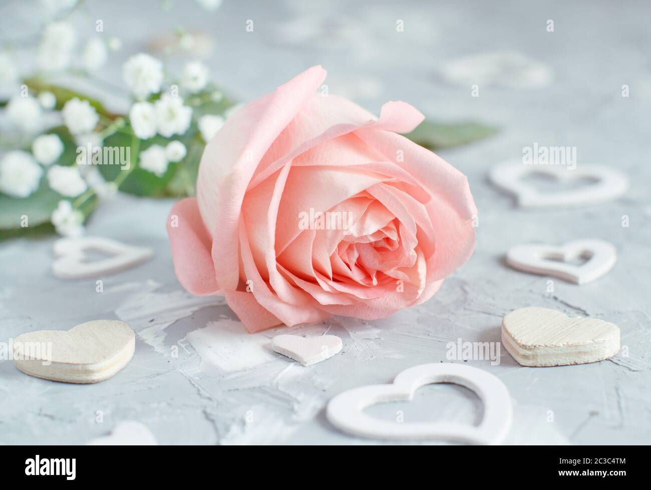 Pink rose with hearts on a grey background Stock Photo - Alamy