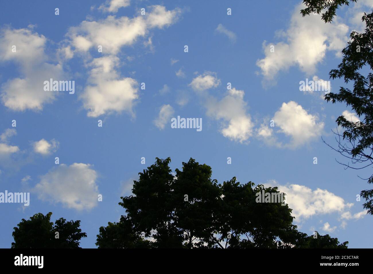 Blue Sky with Clouds and Trees Stock Photo - Alamy