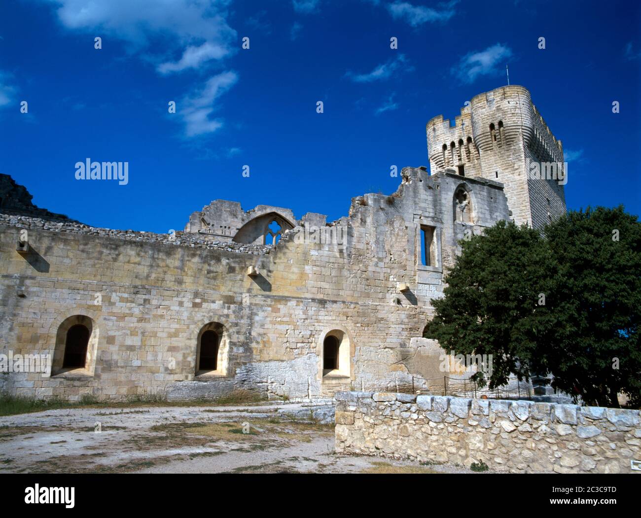Provence France Abbaye de Montmajour Ruins Pons De L'orme Tower Stock Photo