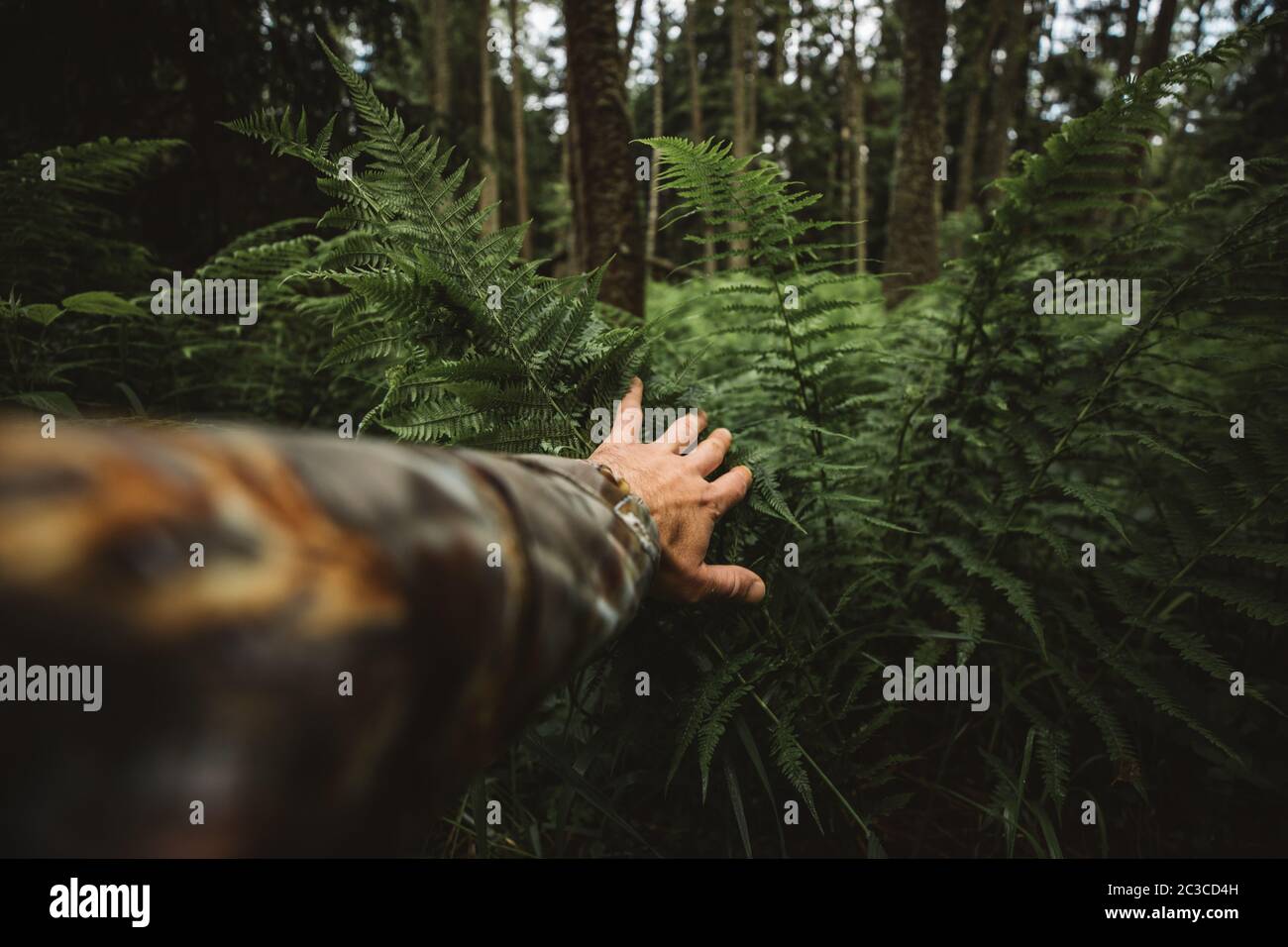 Close up of explorer male hand in green rainy wilderness forest.Survival travel,lifestyle concept. Stock Photo