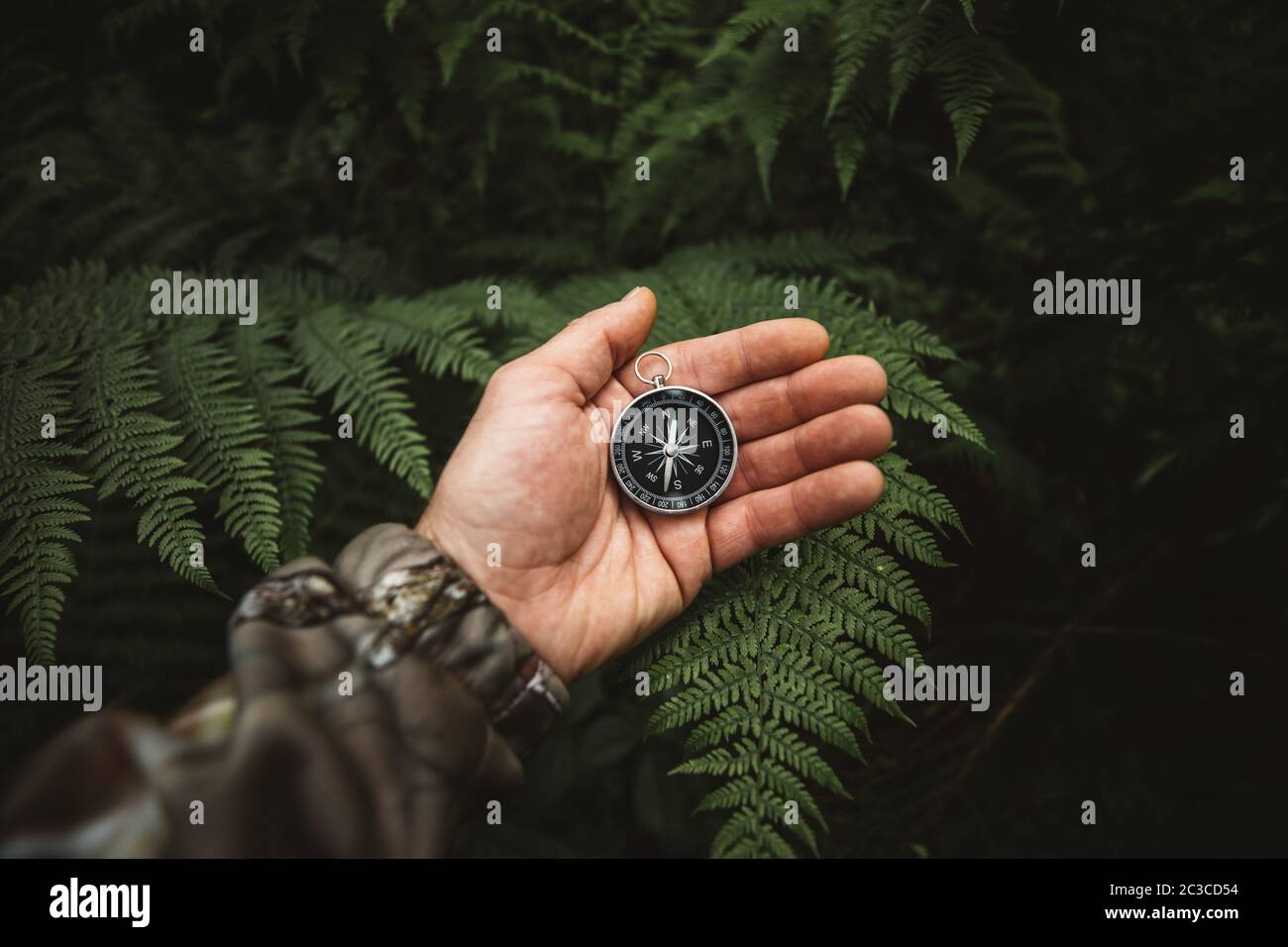 Explorer people holding a compass and searching the right directions in the jungle.Survival travel,lifestyle concept. Stock Photo