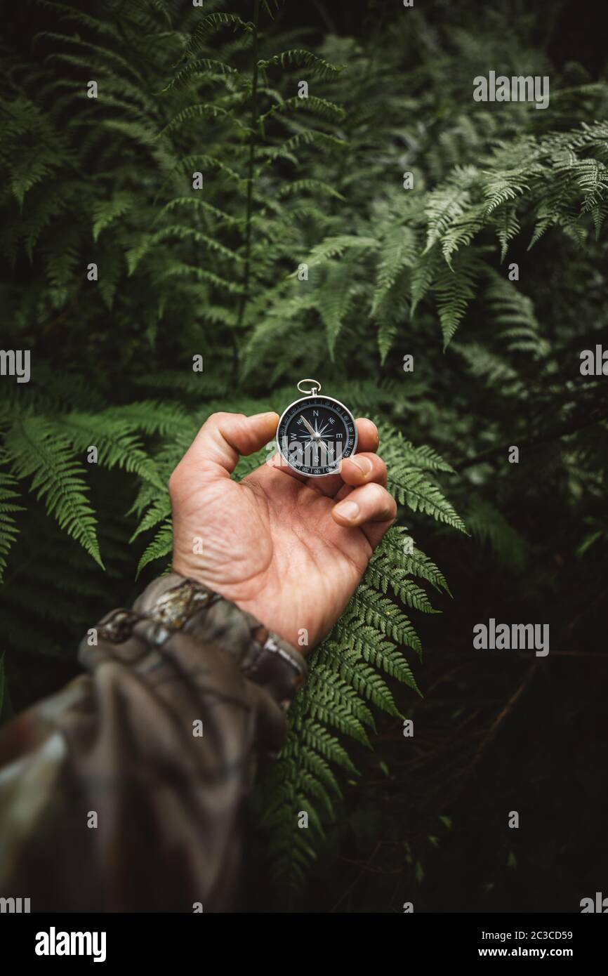 Backpacker male hand with magnetic compass on background of green forest leaves, point of view Stock Photo