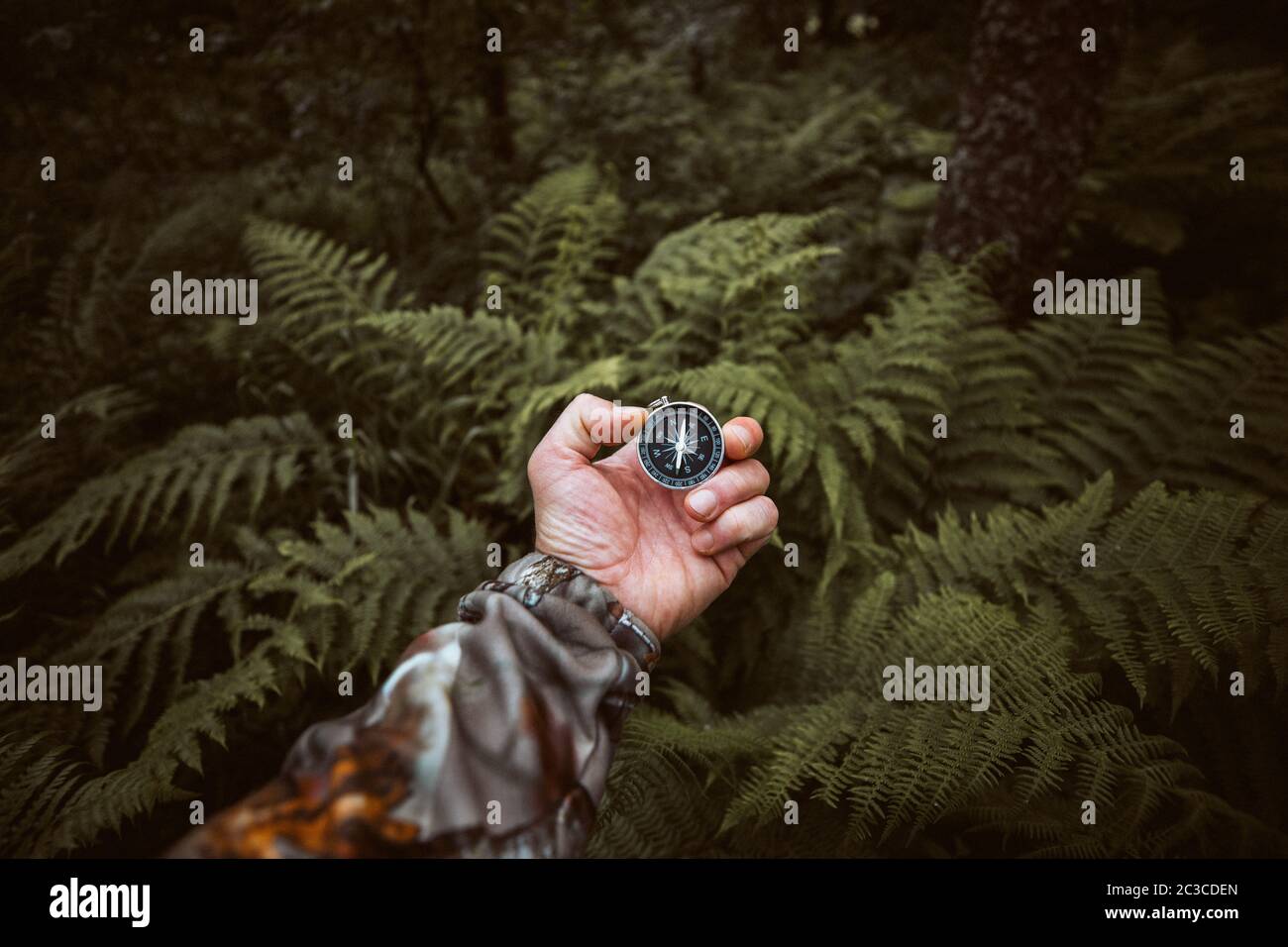 Compass in a hand with blurred fern leaves background. Hiker searching direction in the wilderness forest. Copy space. Stock Photo