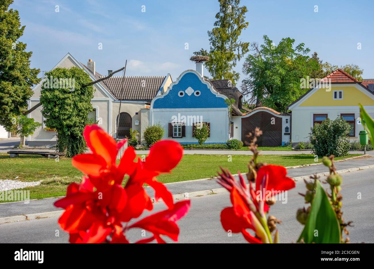idyllic scenery including  red flowers in Apetlon, a town in a area named Burgenland in Austria Stock Photo