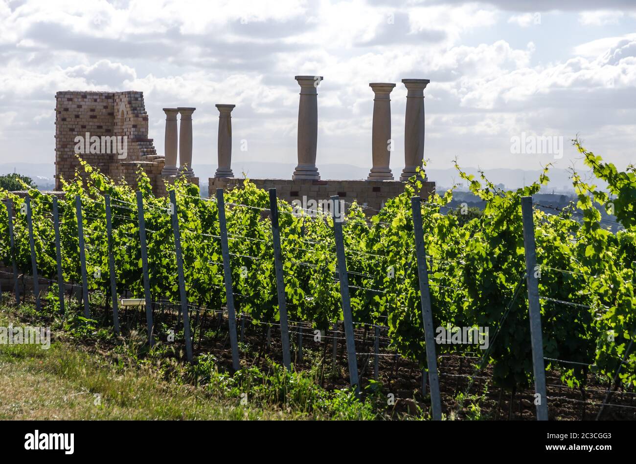 Villa Rustica Weilberg, Ancient Roman winery near Bad Duerkheim in Rhineland-Palatinate, Germany Stock Photo