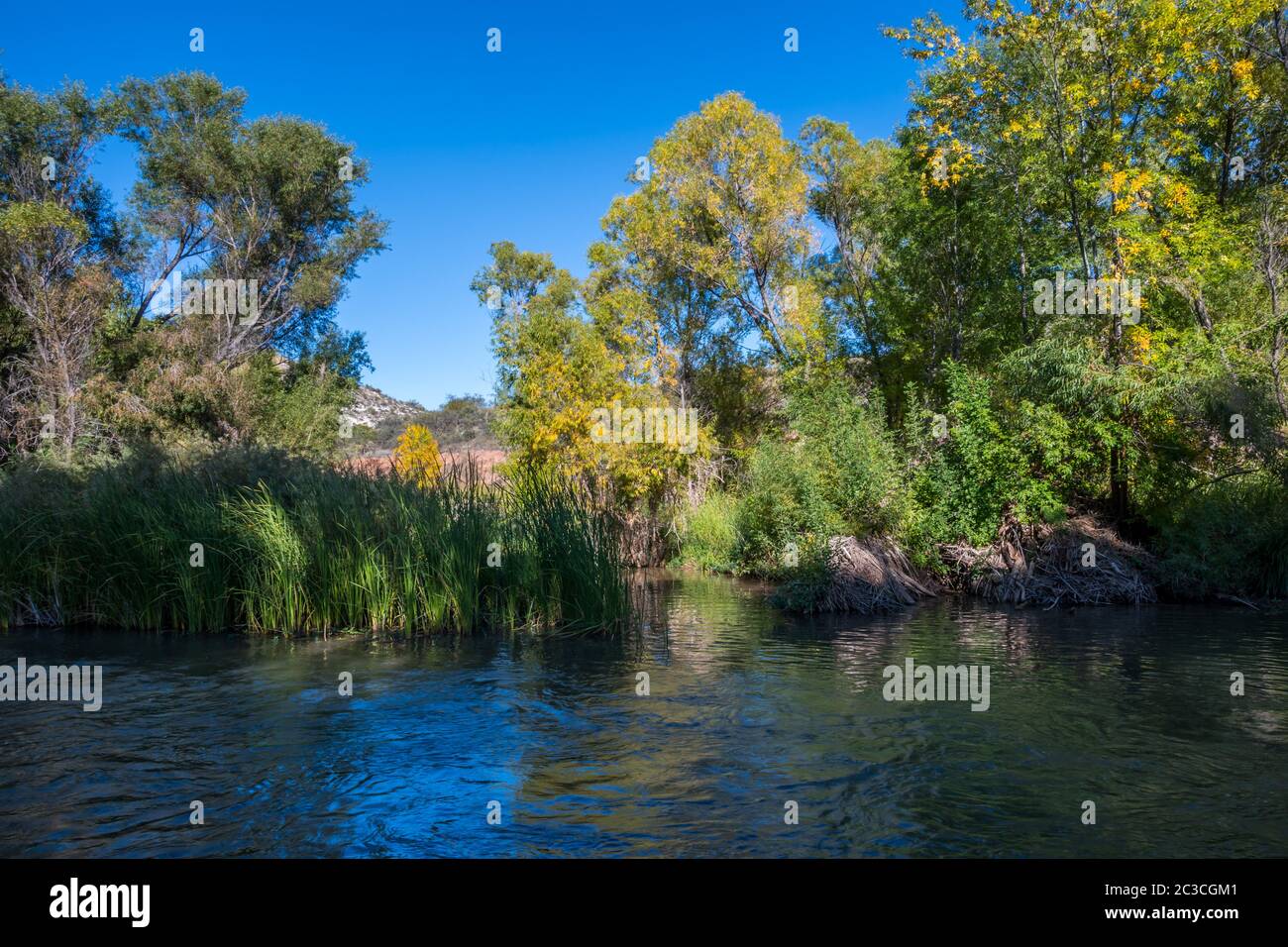 A narrow stream of water in Prescott National Forest, Arizona Stock