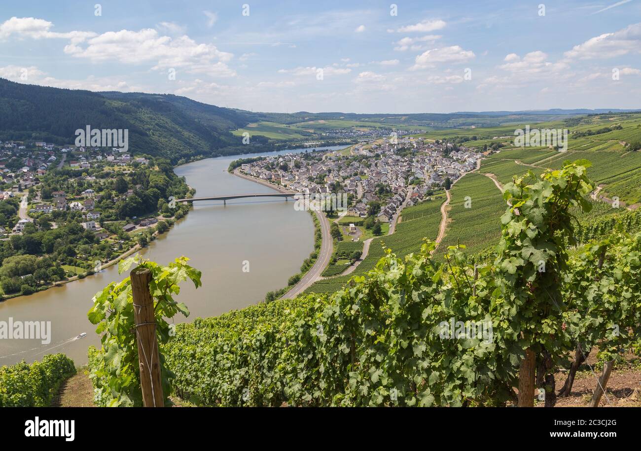 Mehring on the Moselle Germany Europe Stock Photo - Alamy