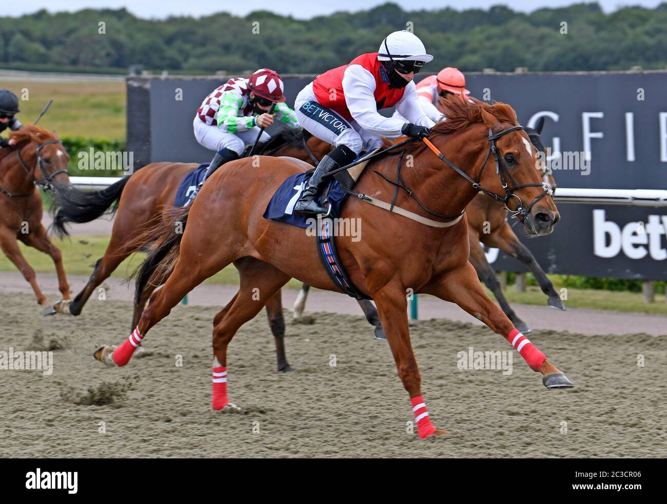 Just Glamorous ridden by jockey Nicola Currie wins the Play 4 To Score at Betway Handicap at Lingfield Park Racecourse. Stock Photo