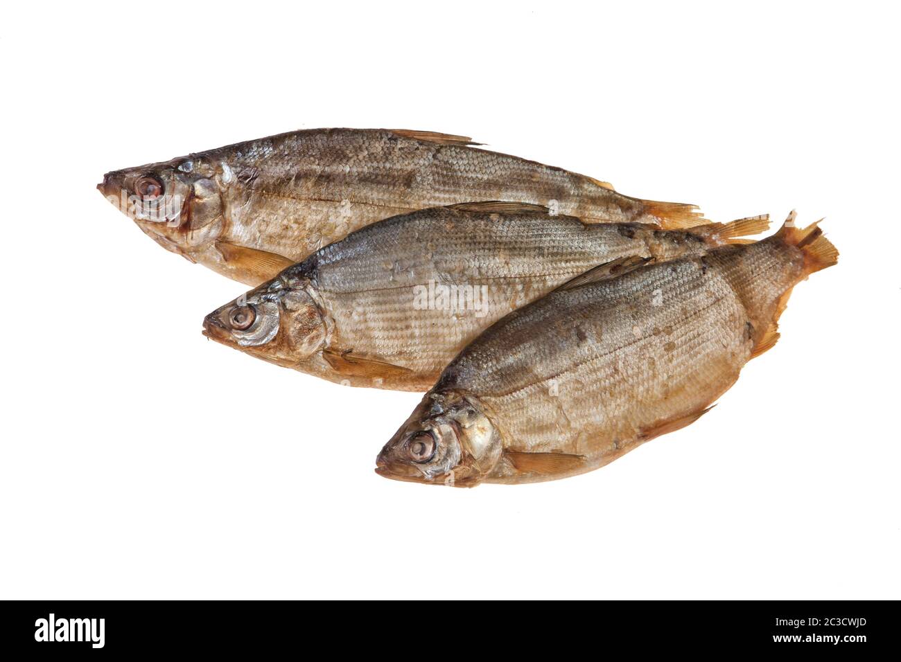 Fish Stock Photo