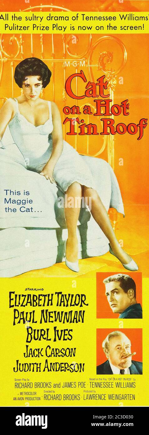 Cat on a Hot Tin Roof  FRIDGE MAGNET 6x8 Elizabeth Taylor Magnetic Movie Poster 